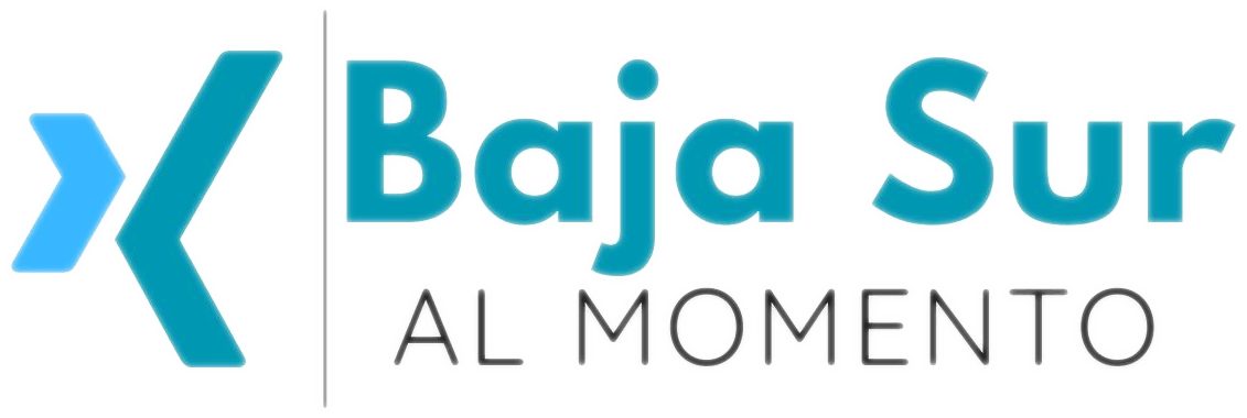 Baja Sur al Momento Logo